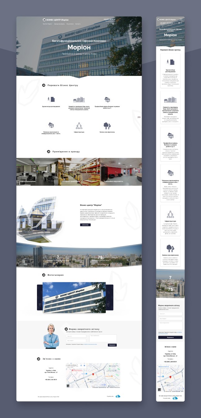 portfolio